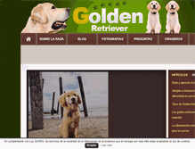 Tablet Screenshot of goldenretriever.biz